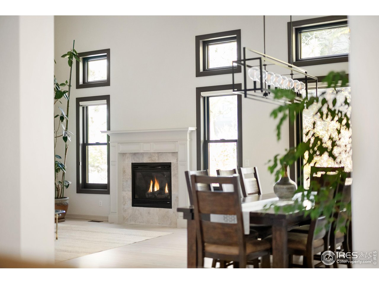 20132 East Shady Ridge Road Parker, CO 80134 - Photo 4 of 49