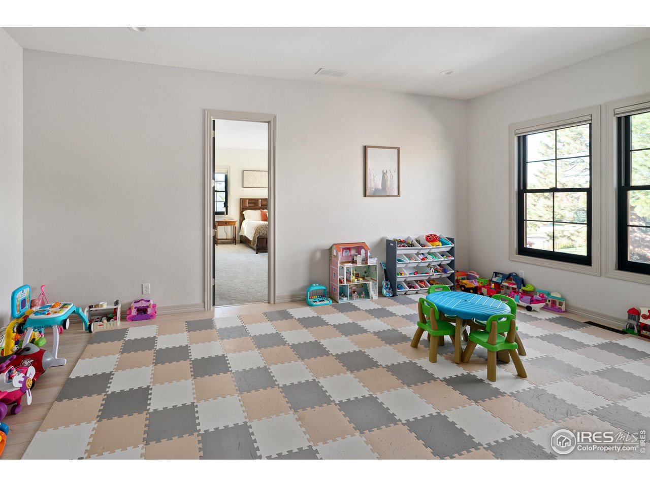 20132 East Shady Ridge Road Parker, CO 80134 - Photo 43 of 49