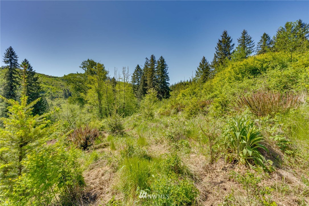 6980 Kalama River Road Kalama, WA 98625 - Photo 12 of 37 Gallery Image 12