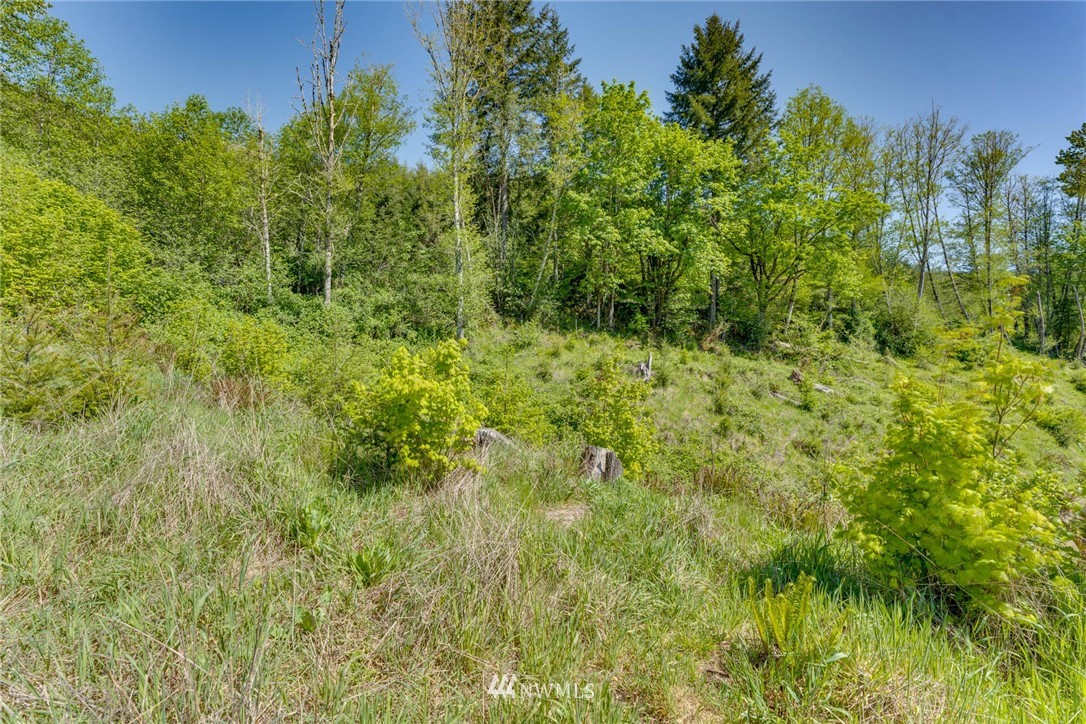 6980 Kalama River Road Kalama, WA 98625 - Photo 13 of 37 Gallery Image 13