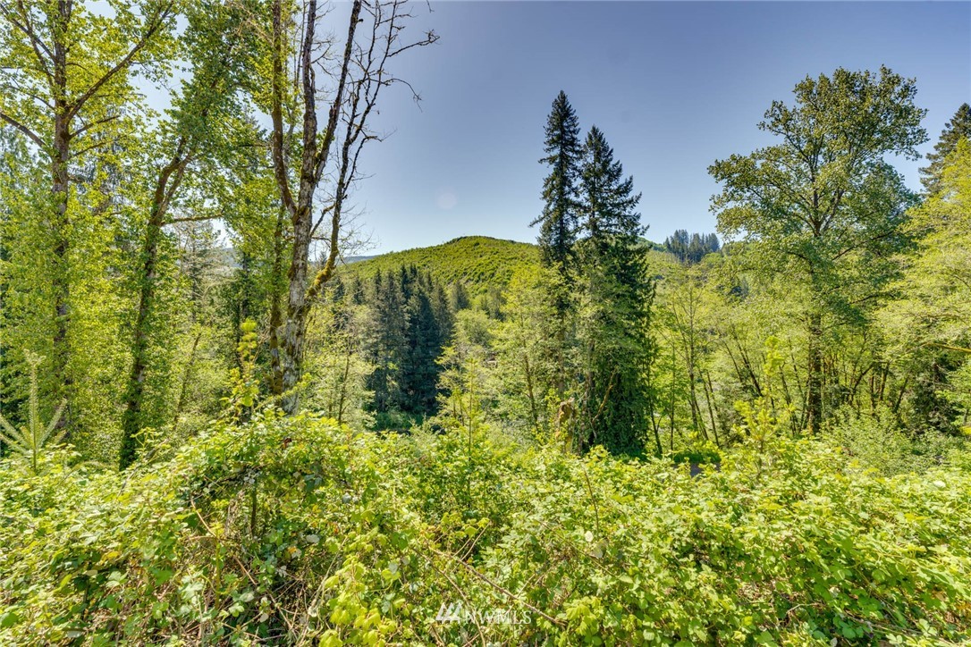 6980 Kalama River Road Kalama, WA 98625 - Photo 14 of 37 Gallery Image 14