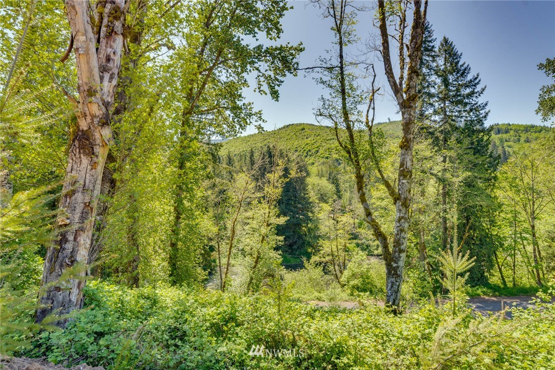 6980 Kalama River Road Kalama, WA 98625 - Photo 15 of 37 Gallery Image 15