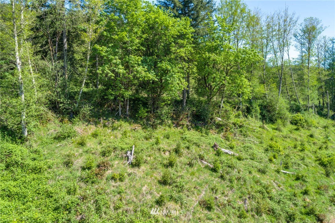 6980 Kalama River Road Kalama, WA 98625 - Photo 17 of 37 Gallery Image 17