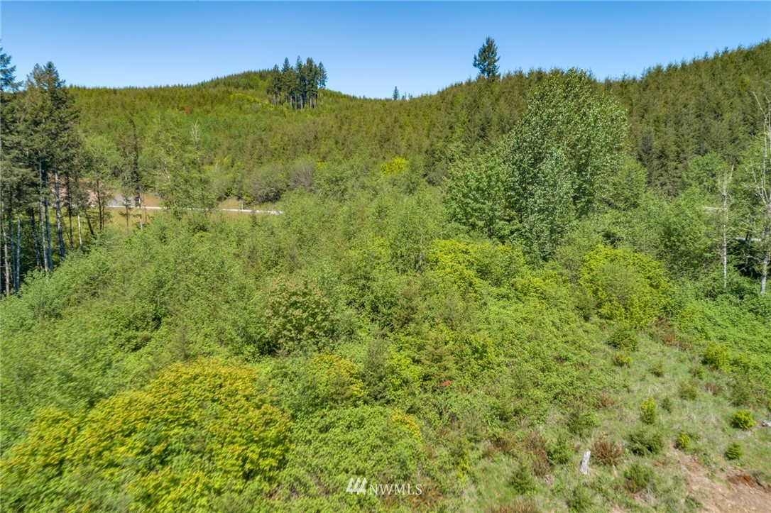 6980 Kalama River Road Kalama, WA 98625 - Photo 19 of 37 Gallery Image 19