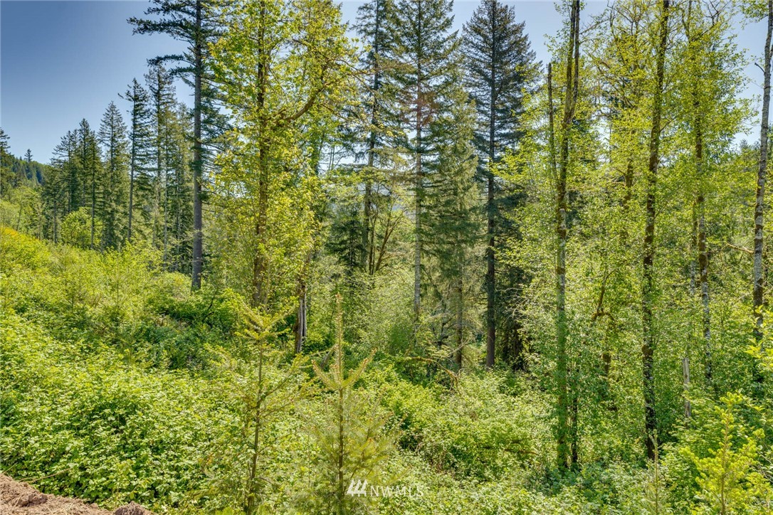 6980 Kalama River Road Kalama, WA 98625 - Photo 6 of 37 Gallery Image 6