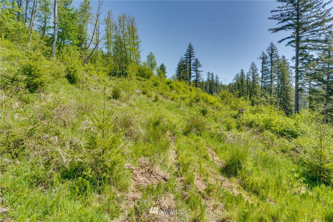 6980 Kalama River Road Kalama, WA 98625 - Photo 7 of 37 Gallery Image 7