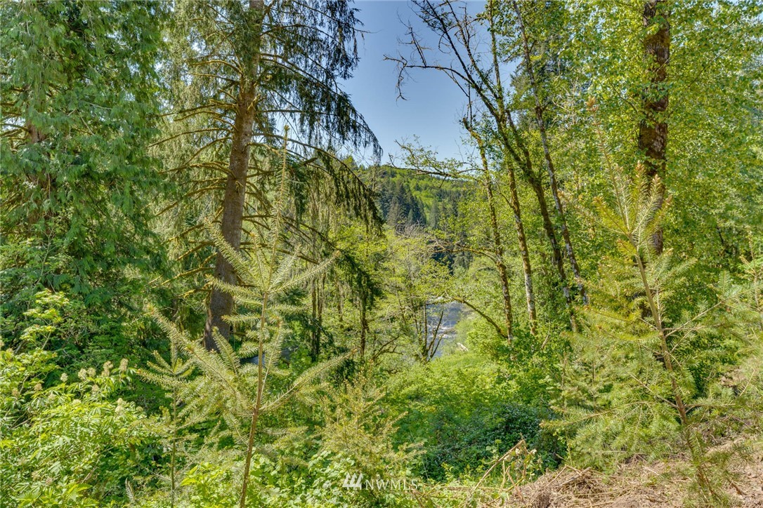 6980 Kalama River Road Kalama, WA 98625 - Photo 9 of 37 Gallery Image 9