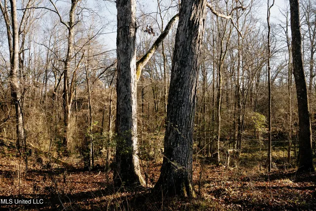 $270,000 | Undisclosed Address, Morton, MS 39117