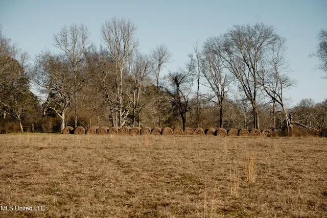 $270,000 | Undisclosed Address, Morton, MS 39117