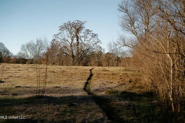 $270,000 | Undisclosed Address, Morton, MS 39117