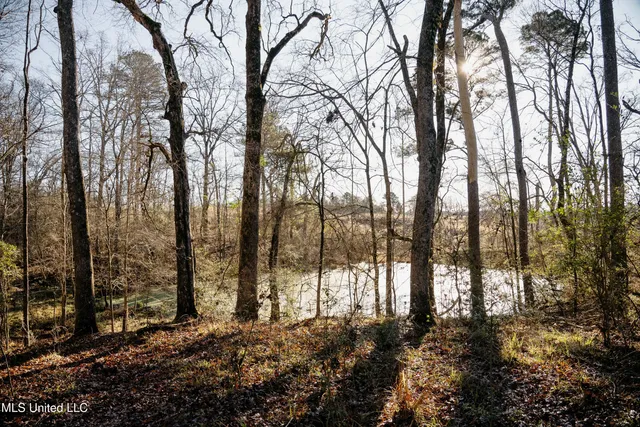 $270,000 | Undisclosed Address, Morton, MS 39117