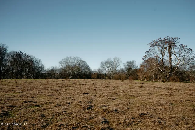 $270,000 | Undisclosed Address, Morton, MS 39117