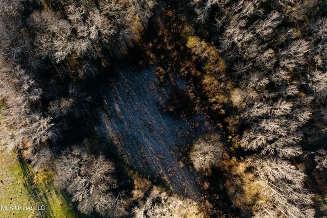 $270,000 | Undisclosed Address, Morton, MS 39117