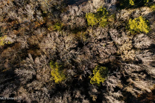 $270,000 | Undisclosed Address, Morton, MS 39117