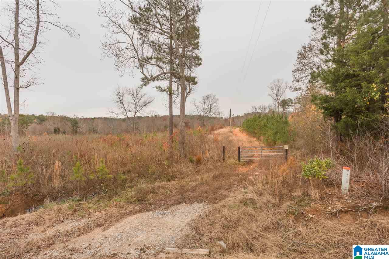 511 Tally Ho Road Anniston, AL 36207 - Photo 10 of 11