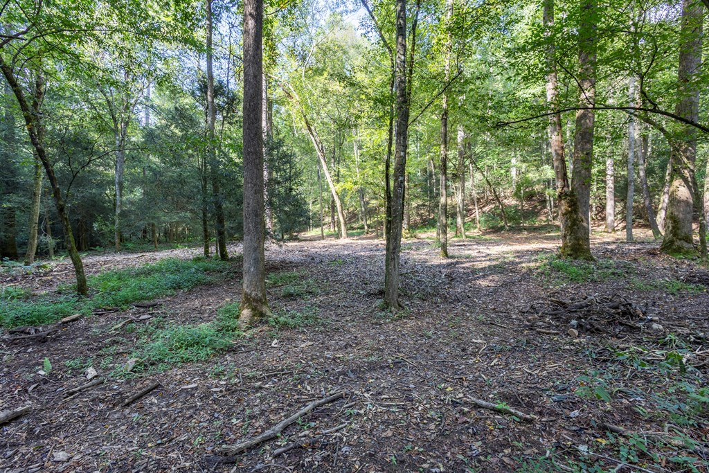 23.59-ac Chestnut Flts Road Andrews, NC 28901 - Photo 18 of 46