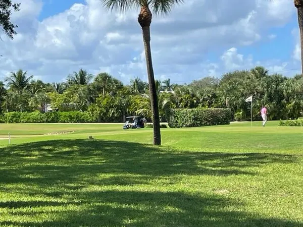 a view of a park with a big yard and palm trees