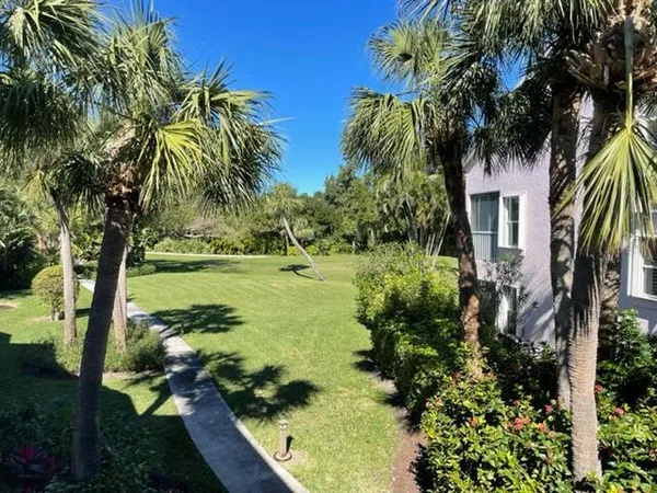 a view of a garden with a tree