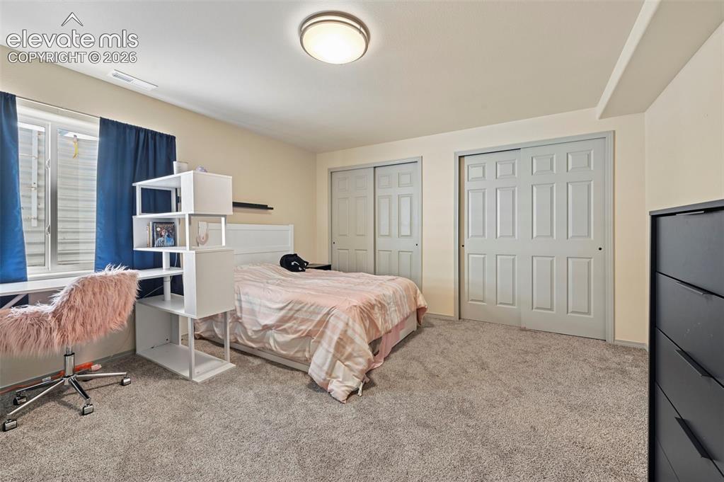 8347 Tibbs Road Peyton, CO 80831 - Photo 7 of 39 Spacious carpeted room featuring two panel sliding closet doors, a window with a sill, and a flush mount ceiling light
