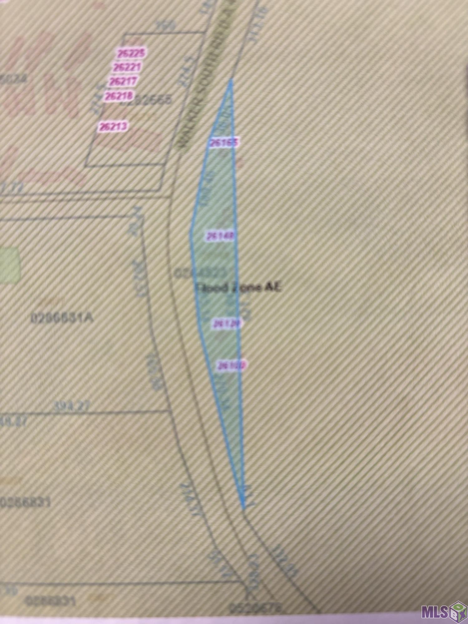 26100 Walker South Road Denham Springs, LA 70726 - Photo 1 of 5 Assessors map