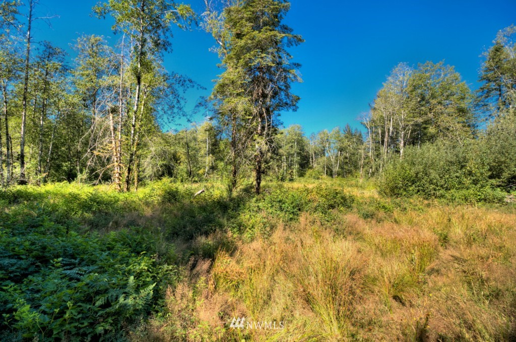260 West Homer Adams Road Elma, WA 98541 - Photo 22 of 24 Gallery Image 22