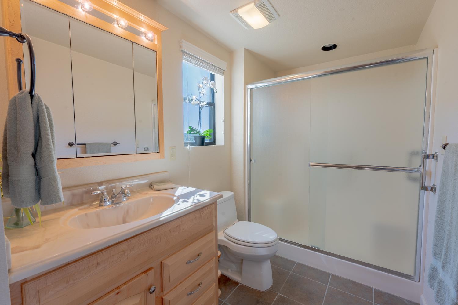 5912 Old Gulch Road San Andreas, CA 95249 - Photo 22 of 71 a bathroom with a sink a toilet and shower