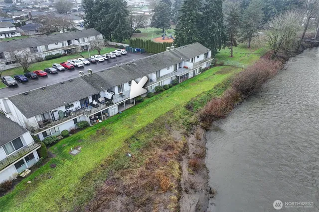 a view of a yard with flower plants