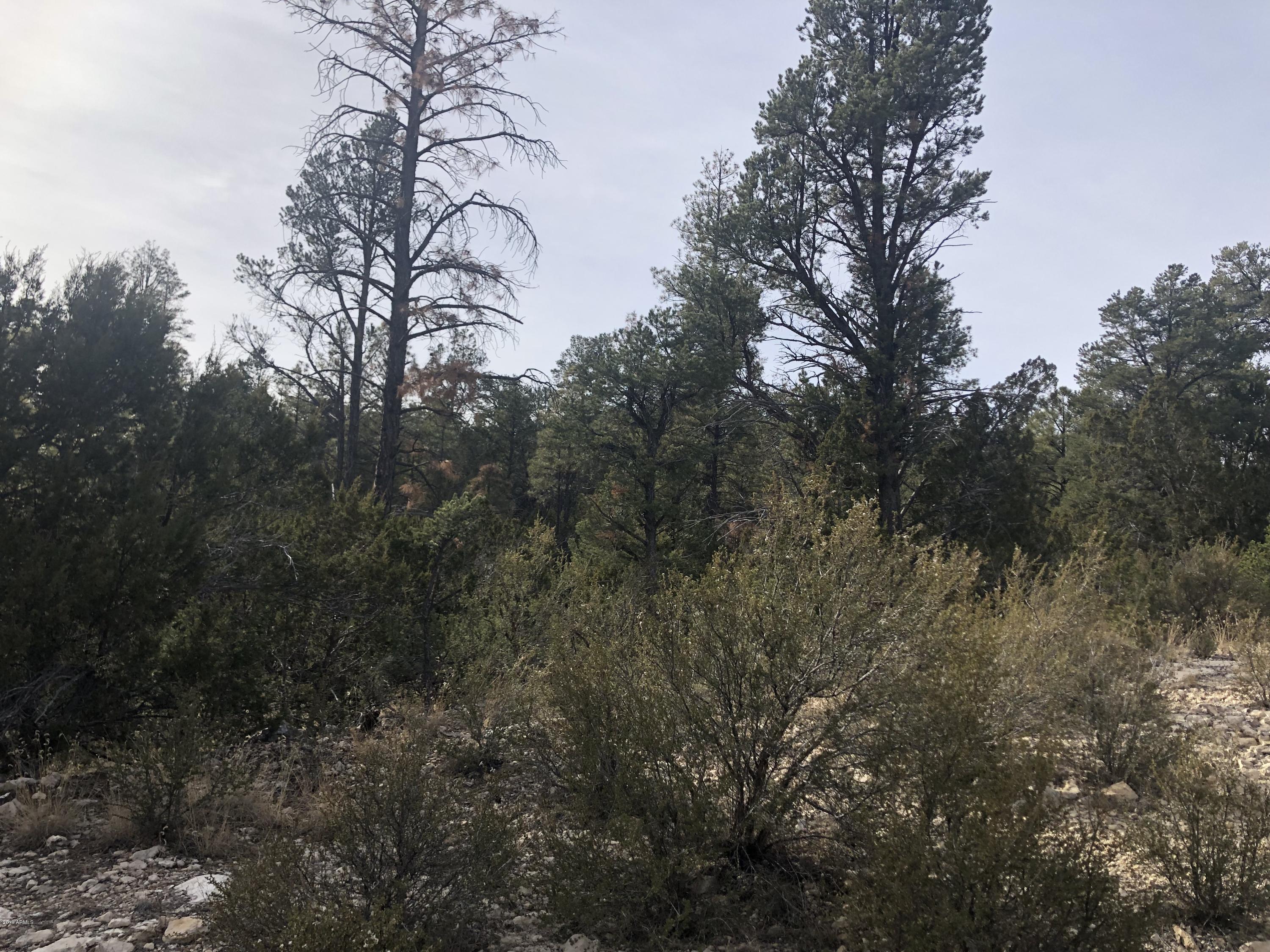 3350 Sawmill Ridge Loop, Unit 129 Heber, AZ 85928 - Photo 2 of 5 IMG_4579