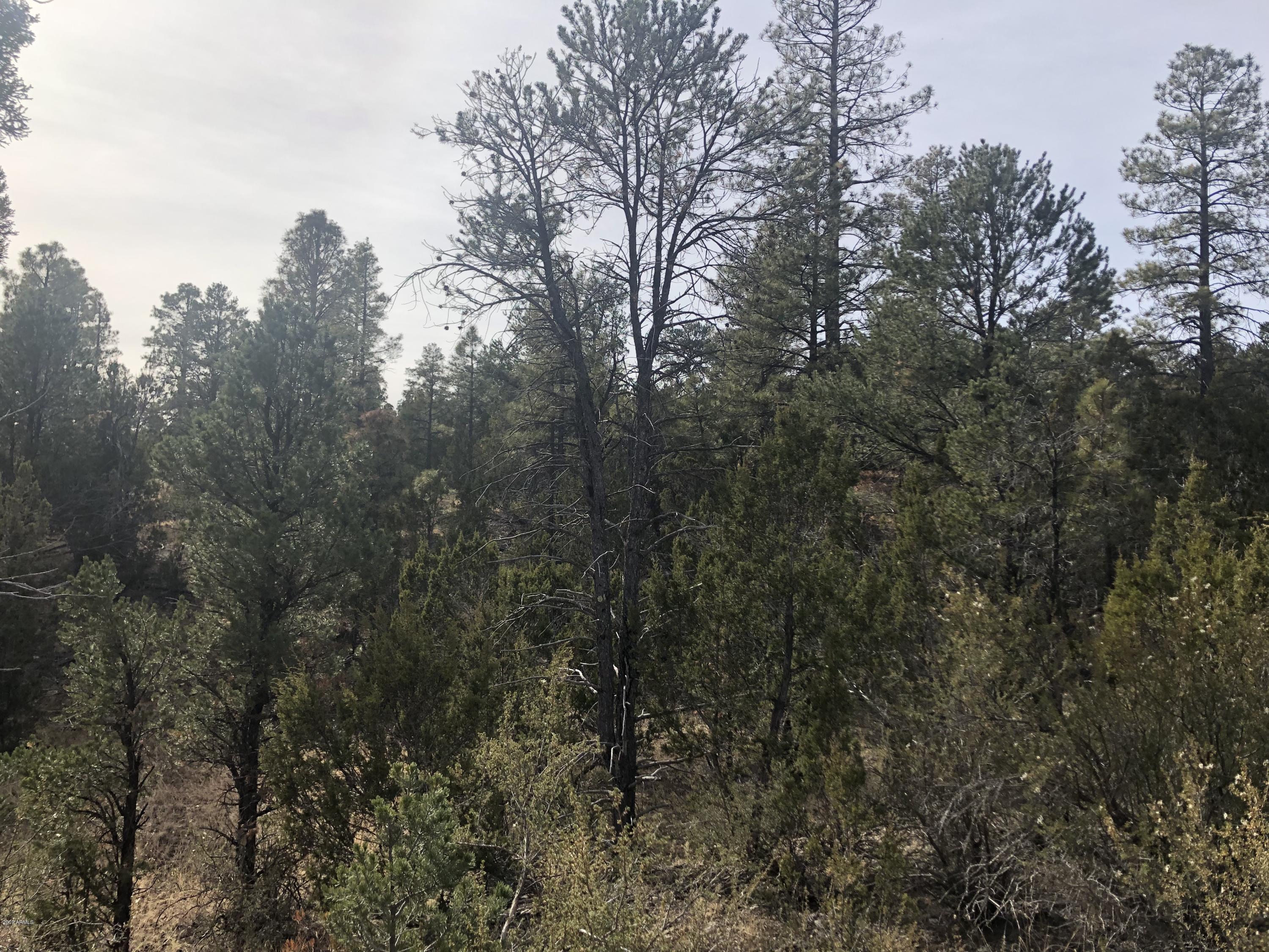 3350 Sawmill Ridge Loop, Unit 129 Heber, AZ 85928 - Photo 3 of 5 IMG_4580