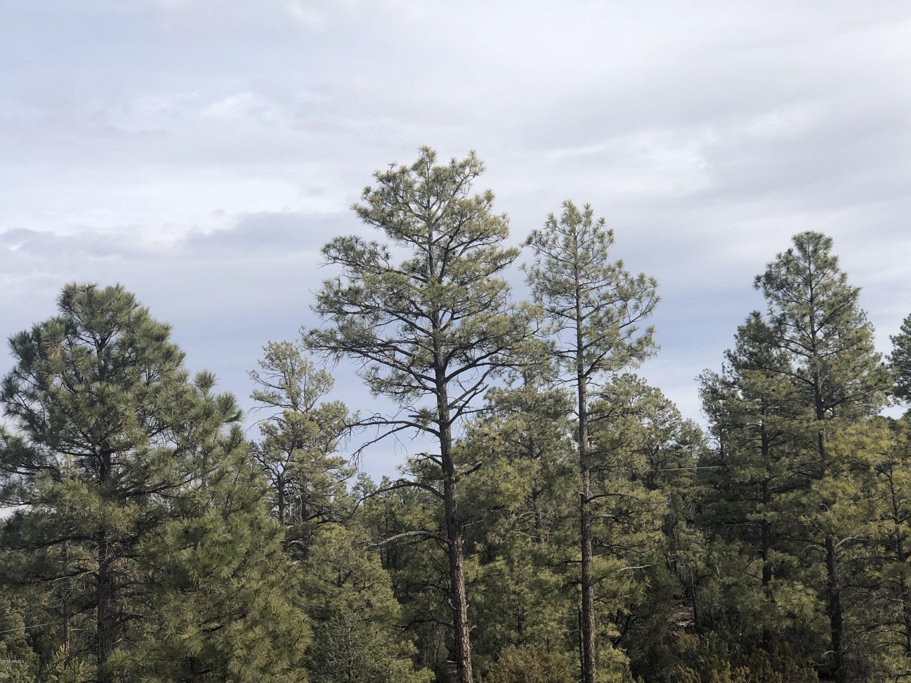 3350 Sawmill Ridge Loop, Unit 129 Heber, AZ 85928 - Photo 5 of 5 IMG_4583