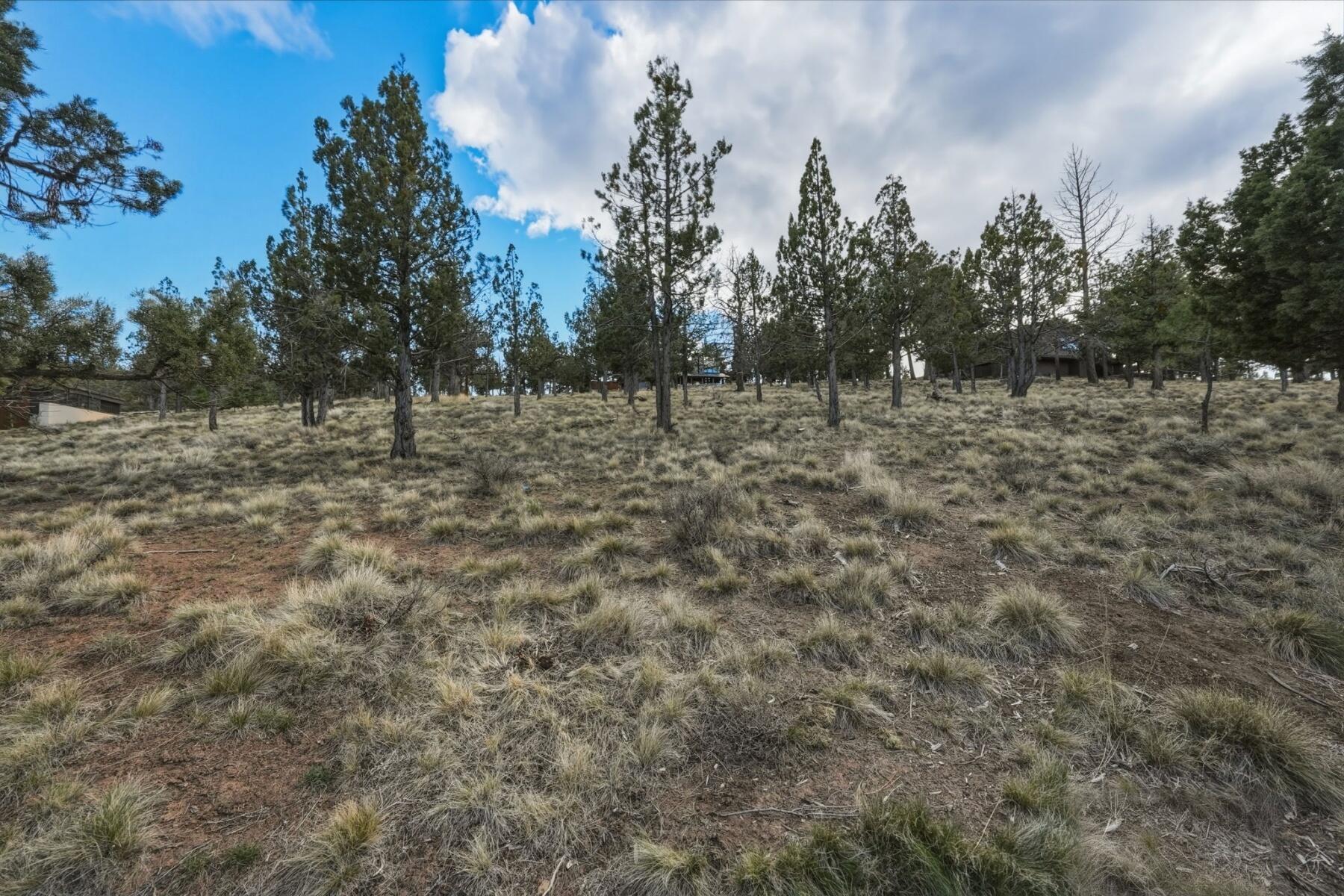 1560 Northwest Wild Rye Circle Bend, OR 97703 - Photo 11 of 18 batch_11 - 10 - 37-web-or-mls-Riley_Visu