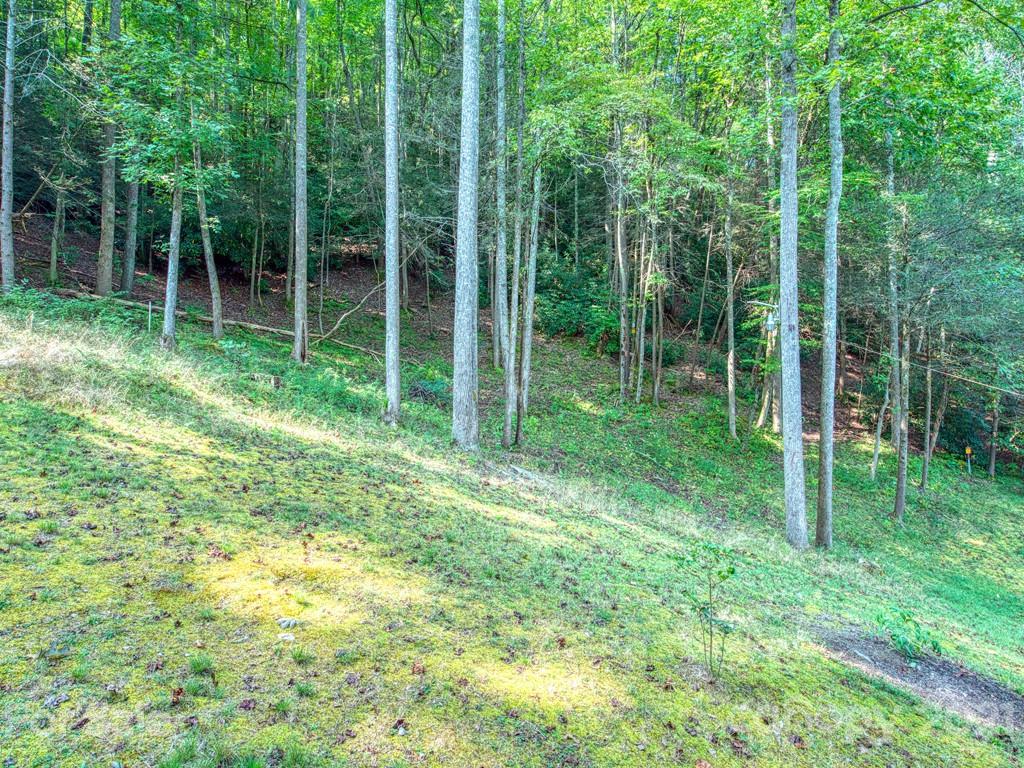 57 Dicks Br Road Clyde, NC 28721 - Photo 3 of 24 a view of lush green space and green space