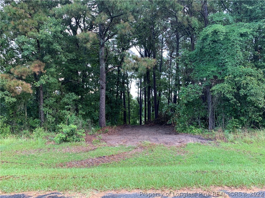 West Lake Road Raeford, NC 28376 - Photo 2 of 4 Gallery Image 2