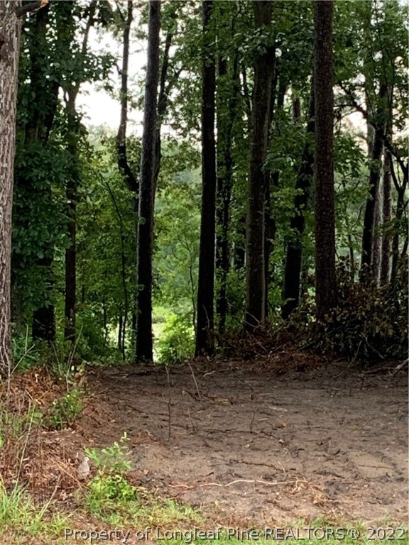 West Lake Road Raeford, NC 28376 - Photo 3 of 4 Gallery Image 3
