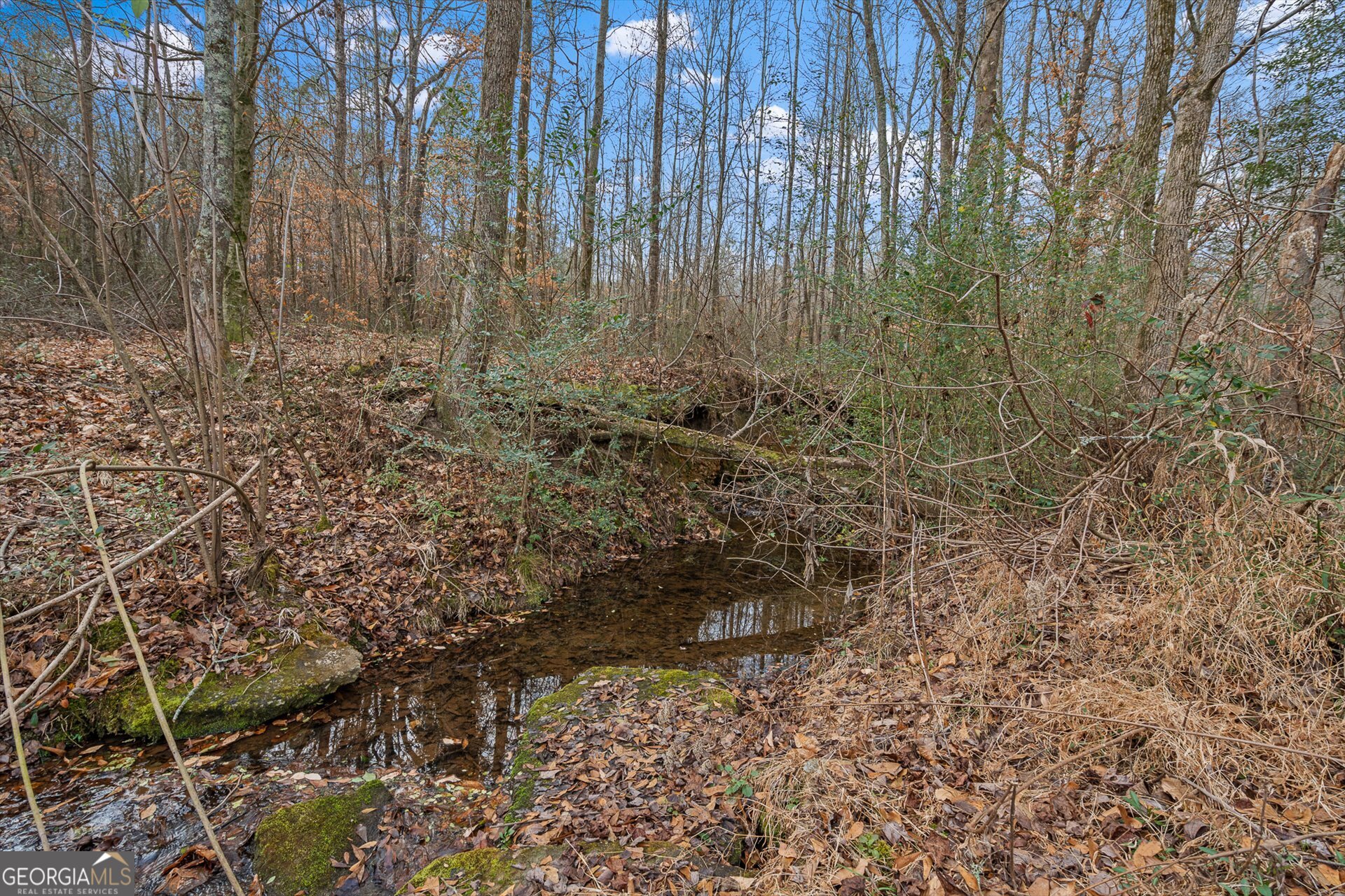 976 Salem Church Road Carrollton, GA 30117 - Photo 61 of 79