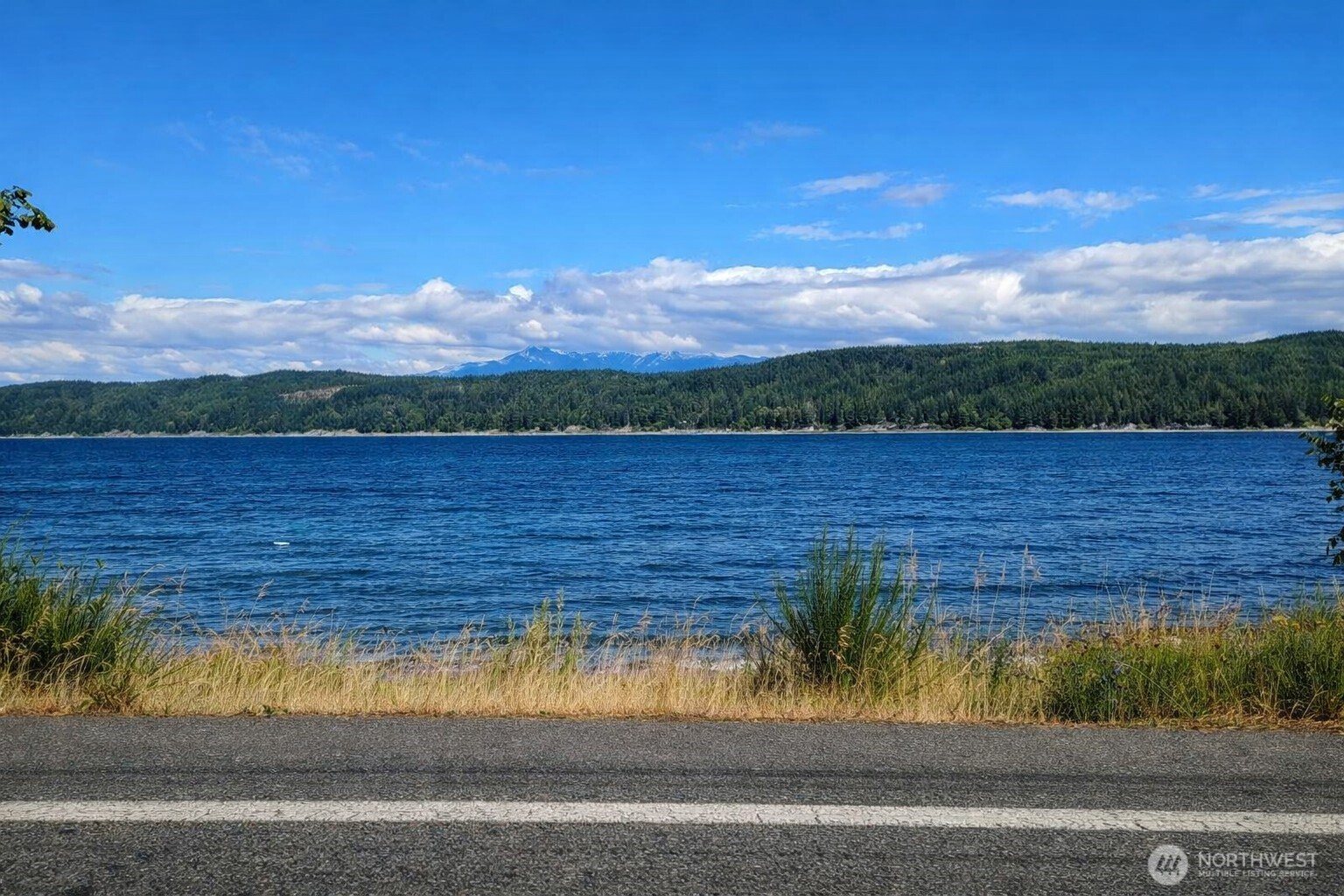 5011 East Rasor Road Belfair, WA 98528 - Photo 20 of 31 Gallery Image 20