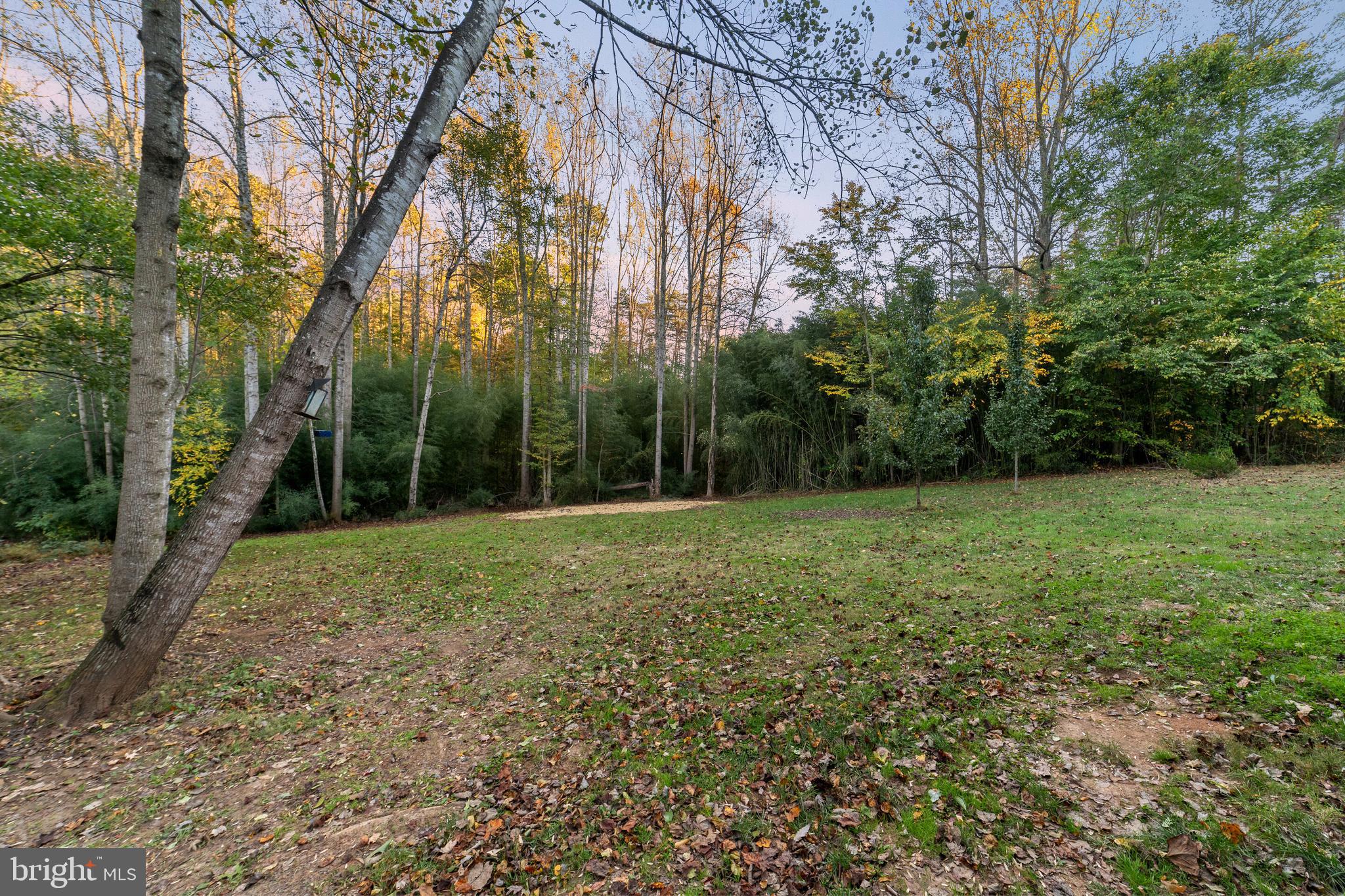 12622 Hazel River Road Rixeyville, VA 22737 - Photo 29 of 30