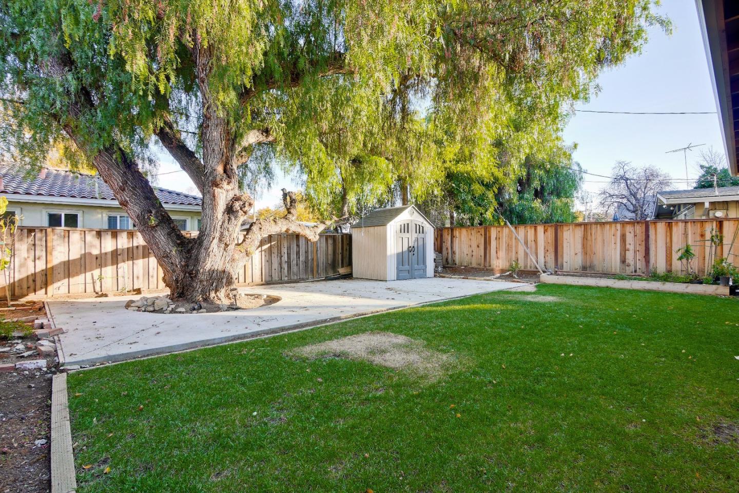 10310 Moretti Drive Cupertino, CA 95014 - Photo 28 of 31 a view of a house with backyard and a tree