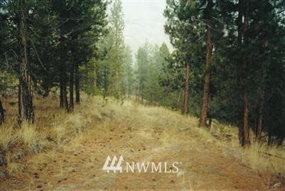 3 Long Horn Trail Riverside, WA 98849 - Photo 1 of 1 Gallery Image 1