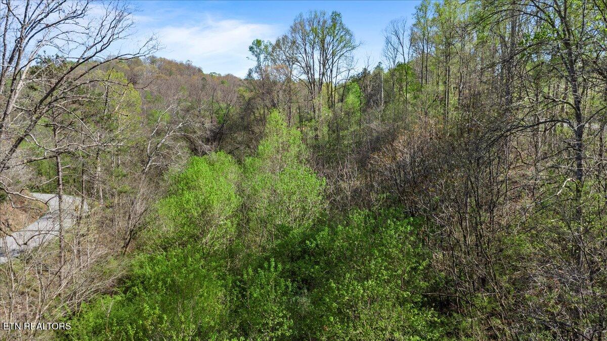 Rainbow View Road La Follette, TN 37766 - Photo 11 of 16 10-Rainbow View