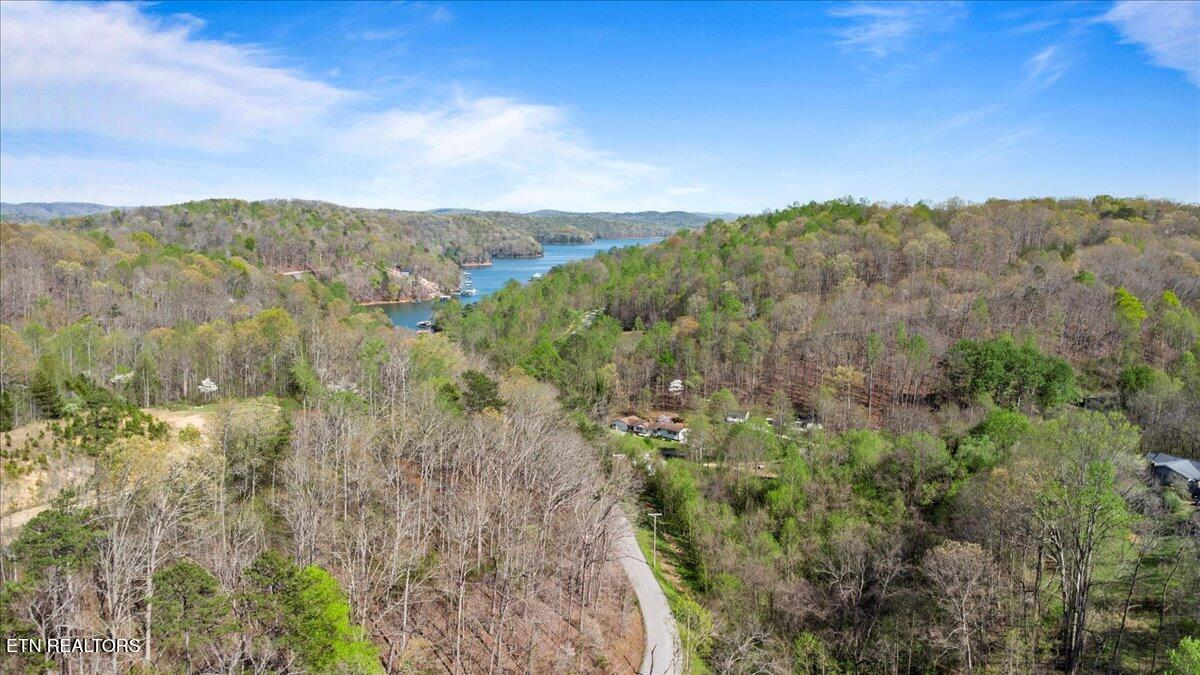 Rainbow View Road La Follette, TN 37766 - Photo 8 of 16 07-Rainbow View