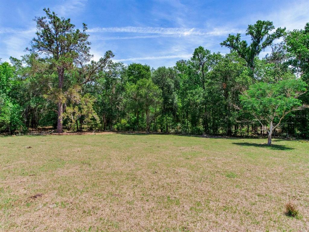 Spring Lake Highway Brooksville, FL 34602 - Photo 20 of 49 a view of a field with trees in the background