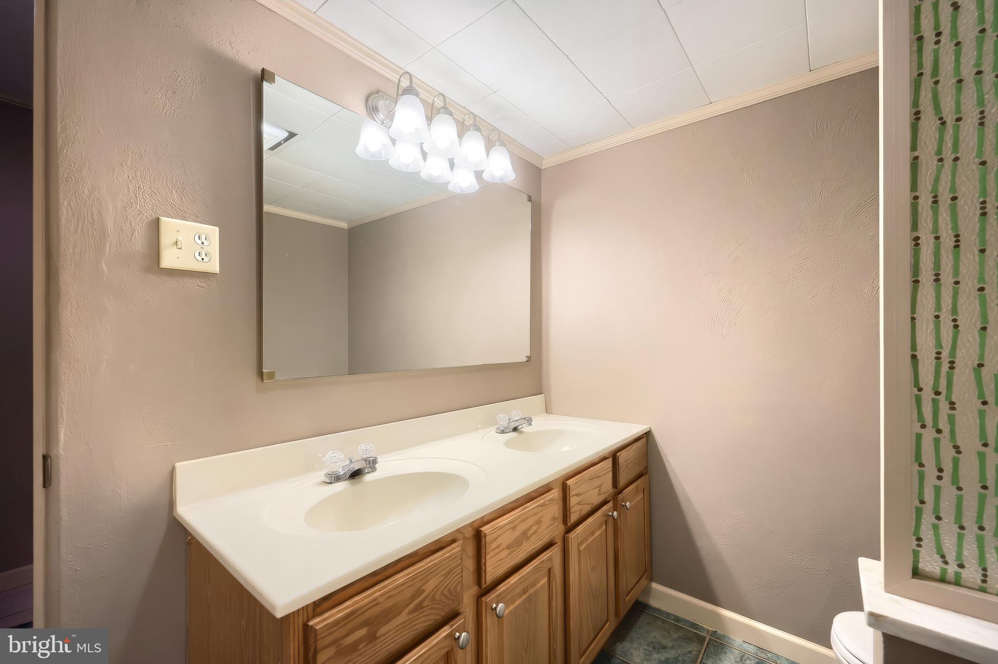 2850 Iron Stone Hill Road York, PA 17403 - Photo 47 of 61 Basement bath
