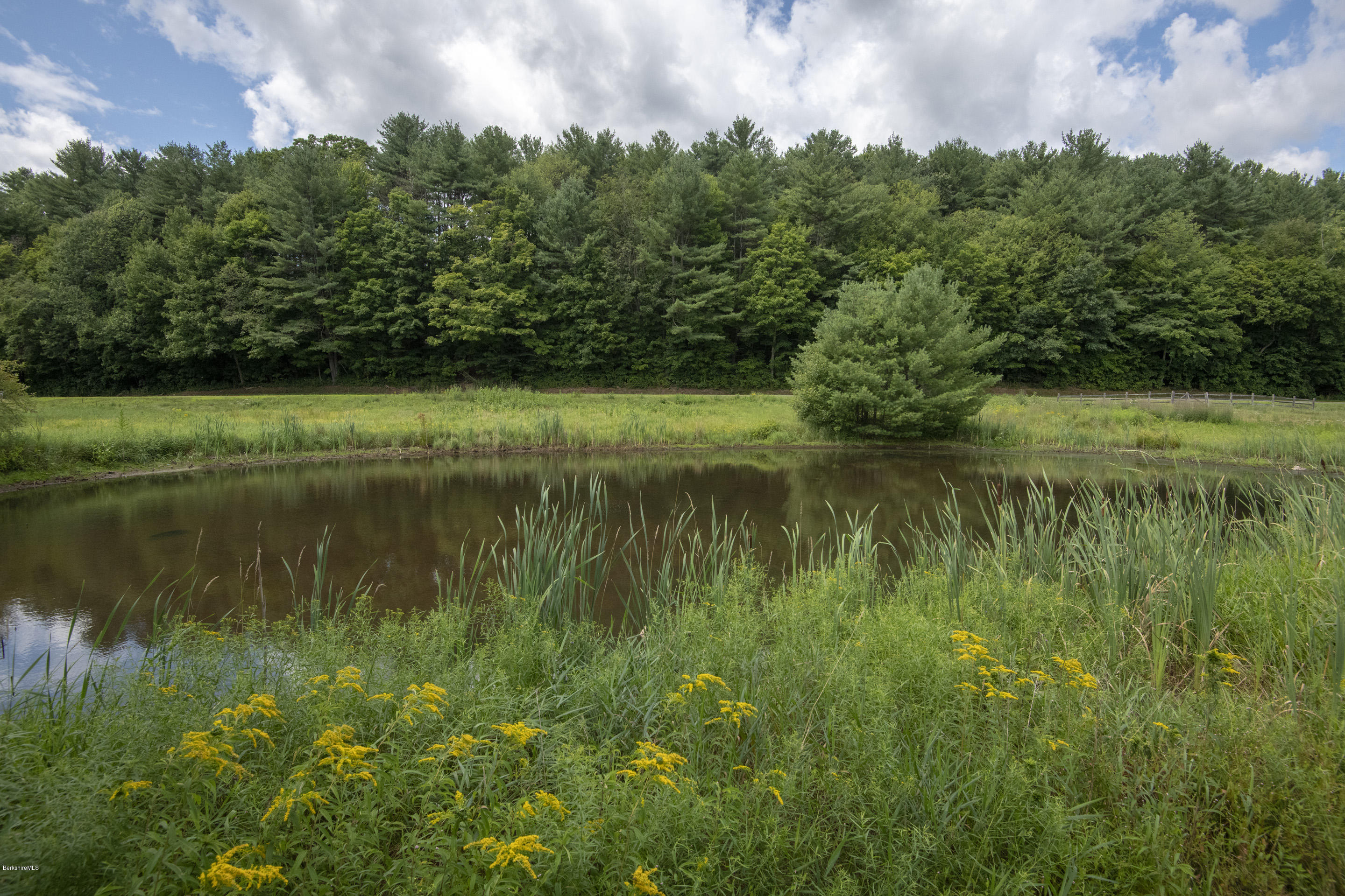 44 Burrows Turnpike Road Bernardston, MA 01337 - Photo 34 of 35 Pond
