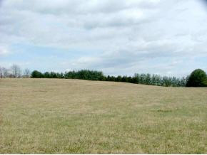 0 North Austin Springs Road Piney Flats, TN 37686 - Photo 1 of 1 Photo 1
