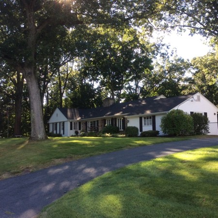 10 Ridgeway Circle Springfield, MA 01118 - Photo 29 of 29 a view of big yard in front of house with trees