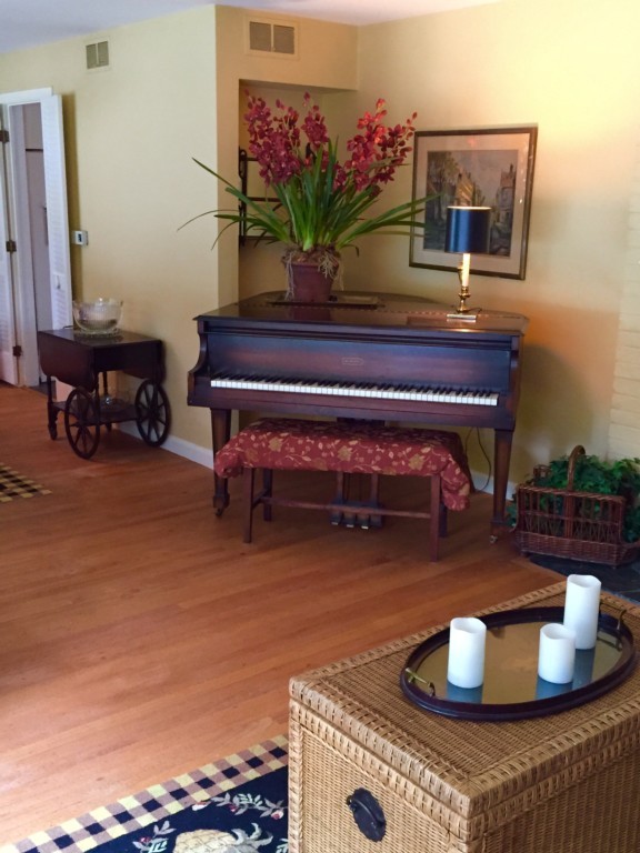 10 Ridgeway Circle Springfield, MA 01118 - Photo 7 of 29 a living room with furniture and a potted plant