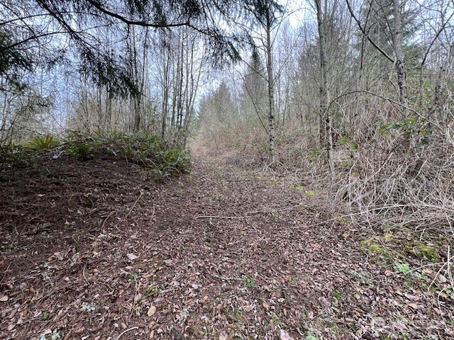 318 Martins Bluff Road Kalama, WA 98625 - Photo 14 of 23 Gallery Image 14