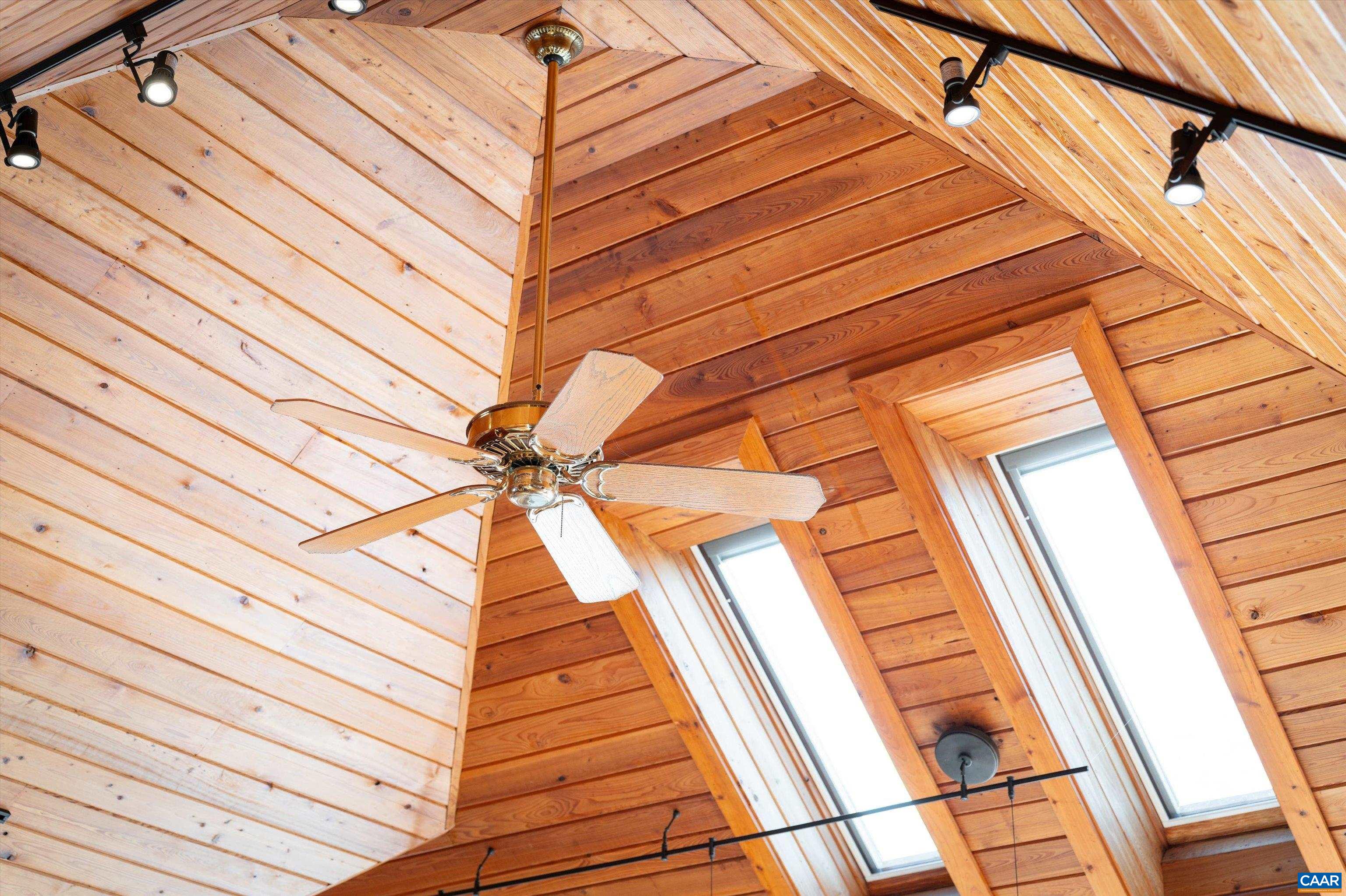 353 Crawfords Edge Roseland, VA 22967 - Photo 26 of 75 Ceiling fan and skylights on main level
