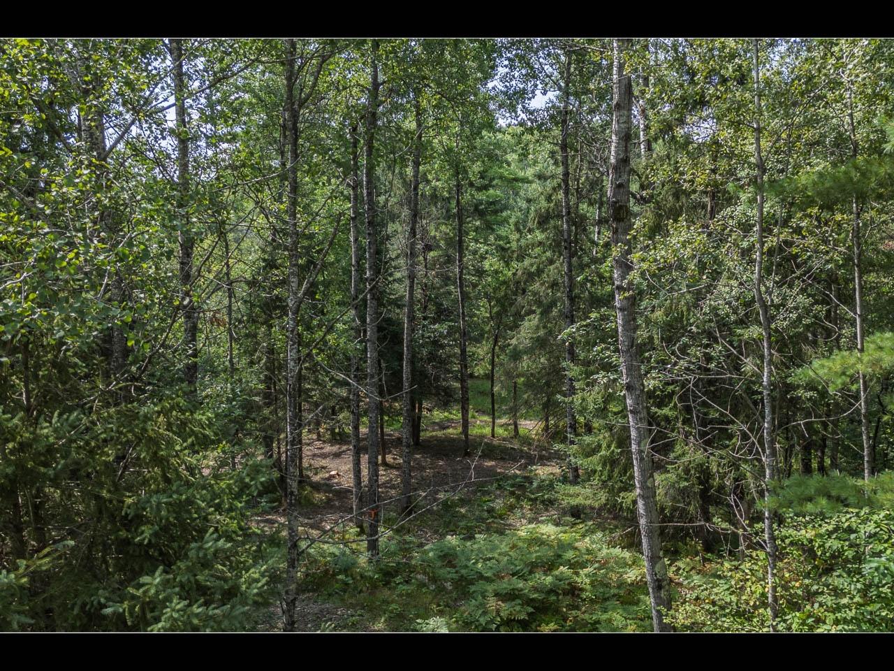 10297 Rocky Run Road Harshaw, WI 54529 - Photo 11 of 21 Gallery Image 11